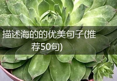 描述海的的优美句子(推荐50句)
