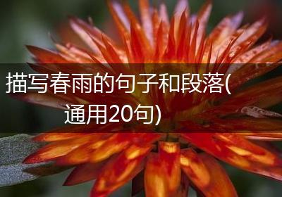 描写春雨的句子和段落(通用20句)