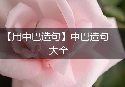 【用中巴造句】中巴造句大全