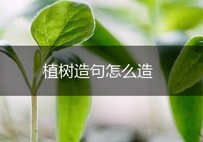植树造句怎么造