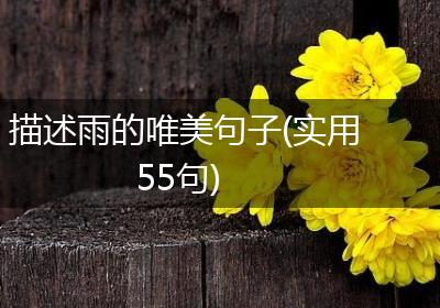 描述雨的唯美句子(实用55句)