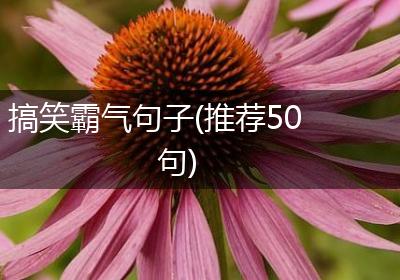 搞笑霸气句子(推荐50句)