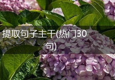 提取句子主干(热门30句)