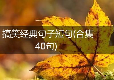 搞笑经典句子短句(合集40句)