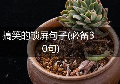 搞笑的锁屏句子(必备30句)