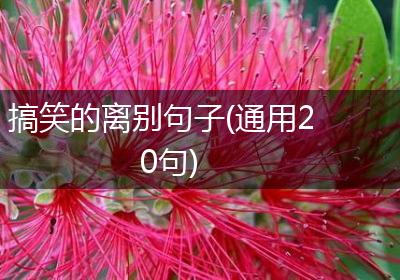 搞笑的离别句子(通用20句)
