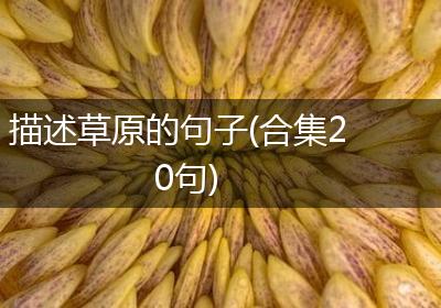 描述草原的句子(合集20句)