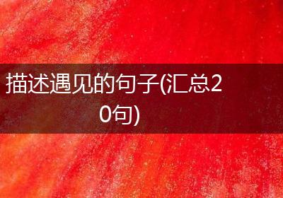 描述遇见的句子(汇总20句)