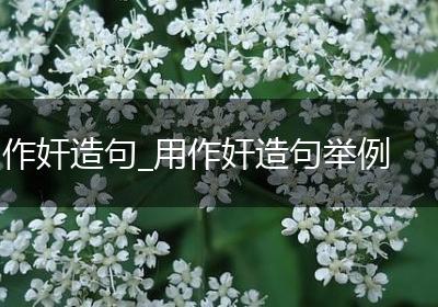 作奸造句_用作奸造句举例