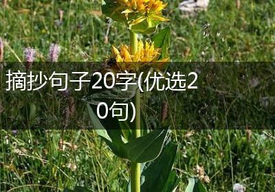 摘抄句子20字(优选20句)