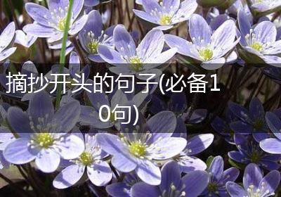 摘抄开头的句子(必备10句)