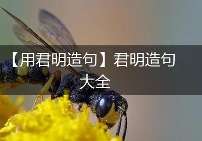 【用君明造句】君明造句大全