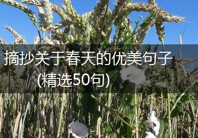 摘抄关于春天的优美句子(精选50句)