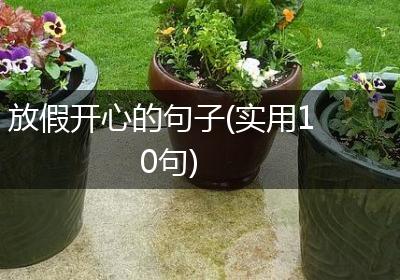 放假开心的句子(实用10句)