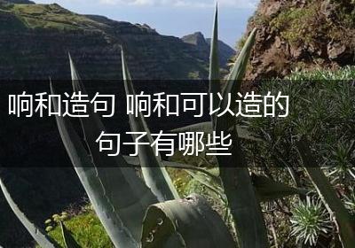 响和造句 响和可以造的句子有哪些
