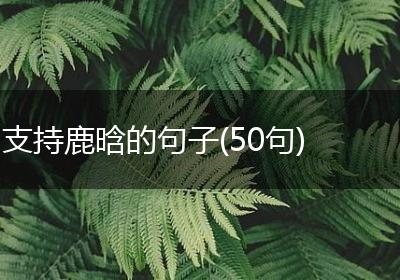 支持鹿晗的句子(50句)
