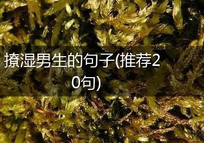 撩湿男生的句子(推荐20句)