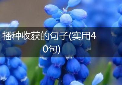 播种收获的句子(实用40句)