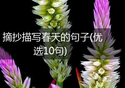 摘抄描写春天的句子(优选10句)