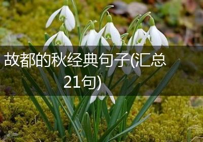 故都的秋经典句子(汇总21句)