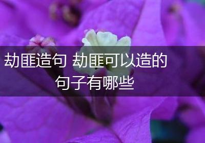 劫匪造句 劫匪可以造的句子有哪些