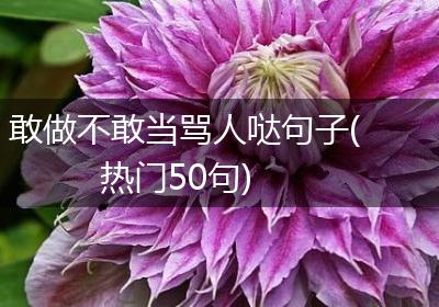 敢做不敢当骂人哒句子(热门50句)