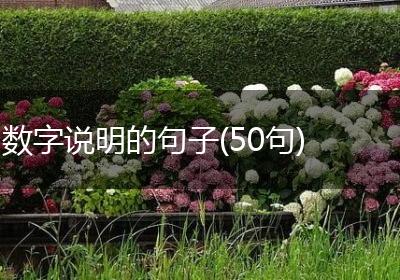 数字说明的句子(50句)