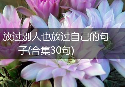 放过别人也放过自己的句子(合集30句)