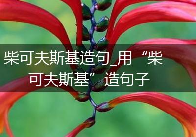 柴可夫斯基造句_用“柴可夫斯基”造句子