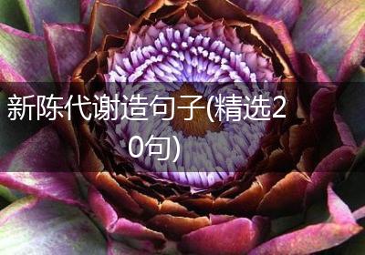 新陈代谢造句子(精选20句)