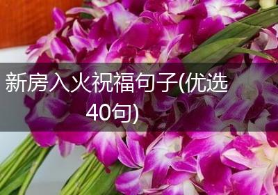 新房入火祝福句子(优选40句)