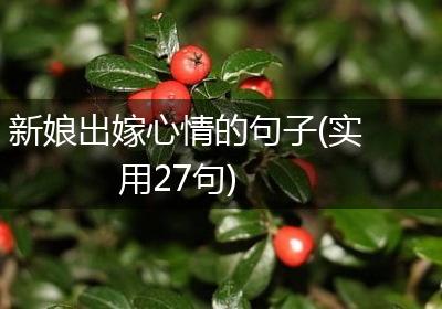 新娘出嫁心情的句子(实用27句)