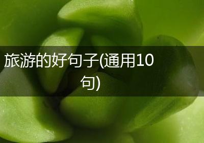旅游的好句子(通用10句)