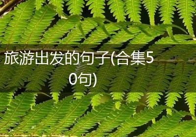 旅游出发的句子(合集50句)