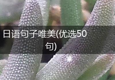 日语句子唯美(优选50句)