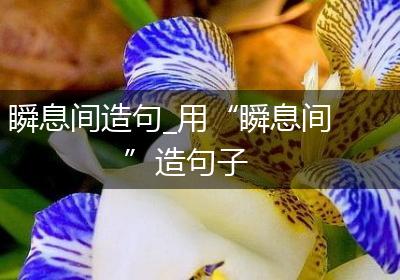瞬息间造句_用“瞬息间”造句子