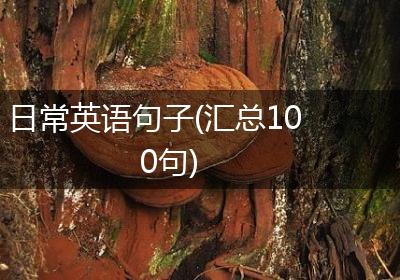 日常英语句子(汇总100句)