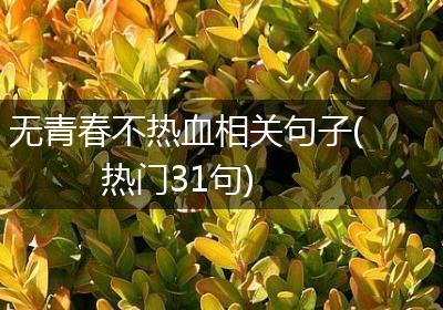 无青春不热血相关句子(热门31句)