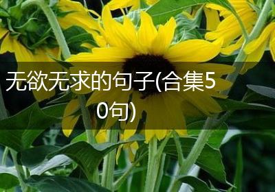 无欲无求的句子(合集50句)