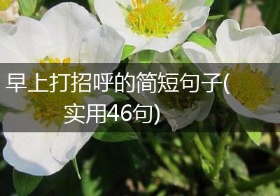 早上打招呼的简短句子(实用46句)