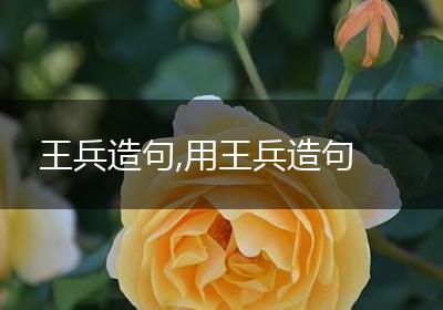 王兵造句,用王兵造句