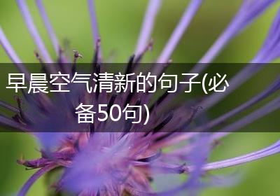 早晨空气清新的句子(必备50句)