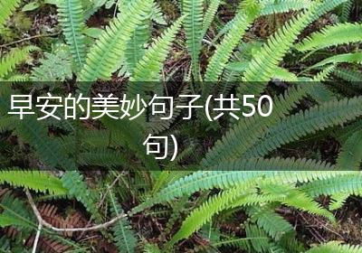 早安的美妙句子(共50句)