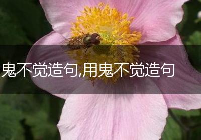 鬼不觉造句,用鬼不觉造句