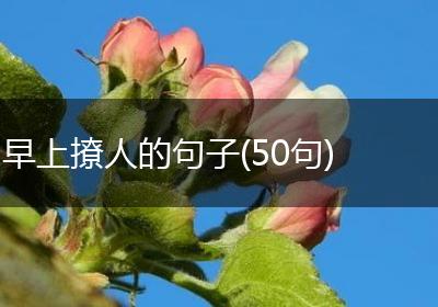 早上撩人的句子(50句)