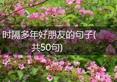 时隔多年好朋友的句子(共50句)