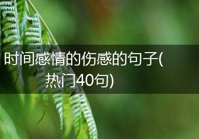 时间感情的伤感的句子(热门40句)