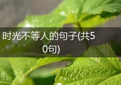 时光不等人的句子(共50句)