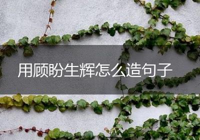 用顾盼生辉怎么造句子