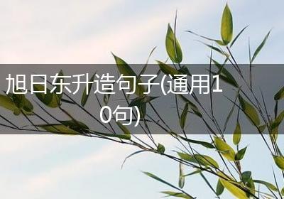 旭日东升造句子(通用10句)